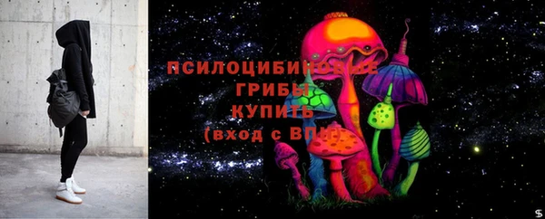 бошки Богородицк