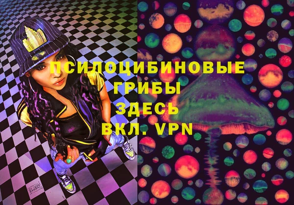 молекула духа Богородск