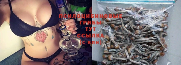 молекула духа Богородск