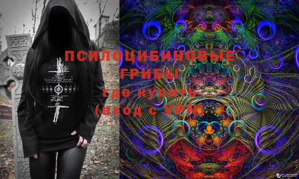 марки lsd Бородино