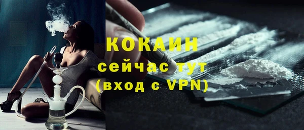 молекула духа Богородск