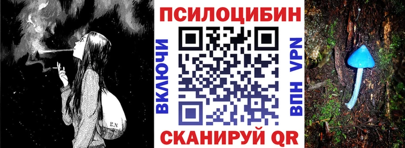 mega ТОР  купить наркотики цена  даркнет состав  Галлюциногенные грибы Psilocybe  Дальнереченск 